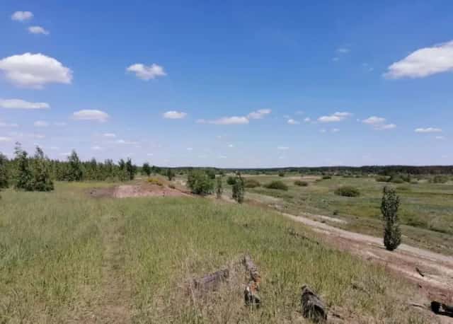 Участок 23,74 га рекреация у воды, Боровое
