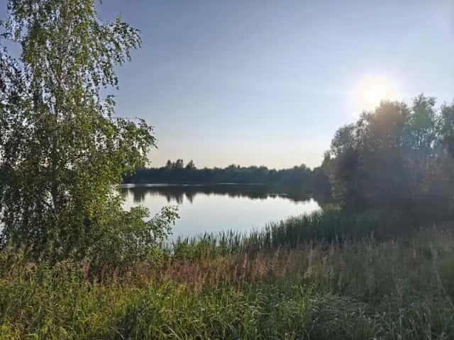 Участок 3,95 га у воды