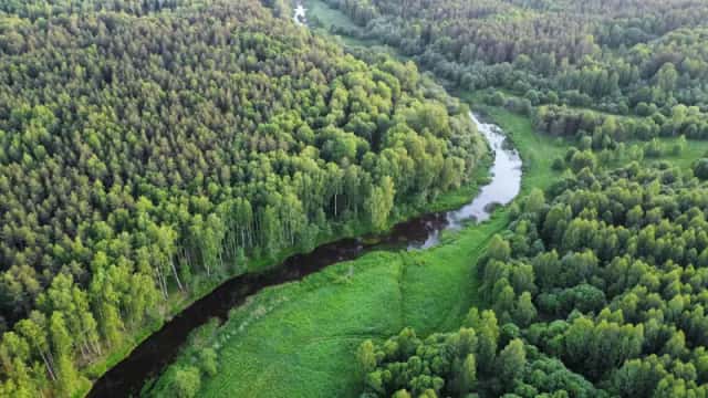Участок 4,6Га на берегу реки с подведенными коммуникациями