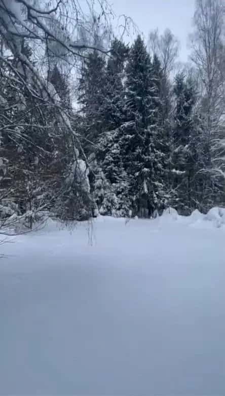 Участок 8,9 га (ИЖС)