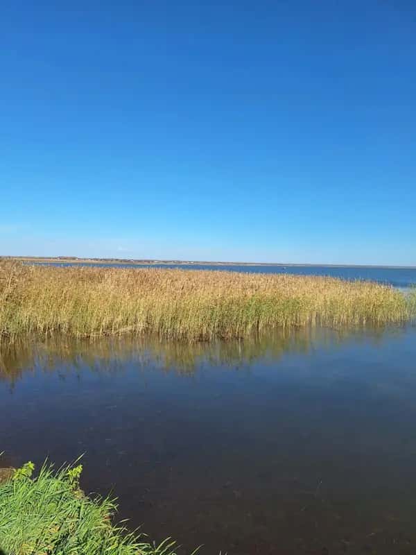 Видовой участок на полуострове у Обского моря