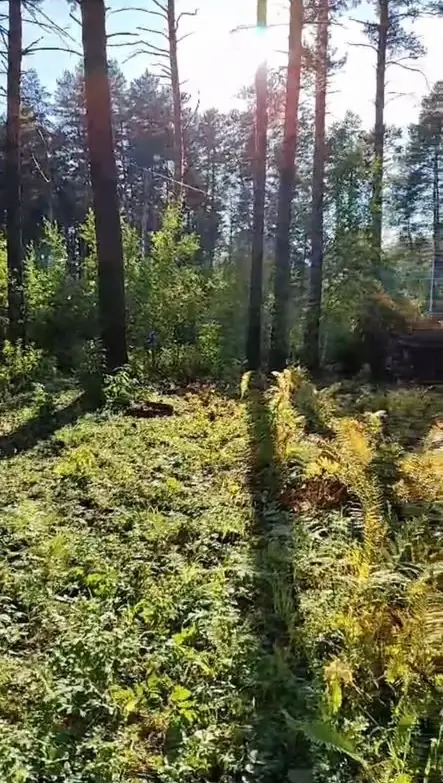 Участок 40 сот. ИЖС, Соузга, Майминский район, Республика Алтай — фото 4