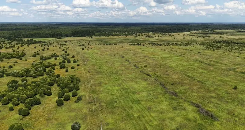 Участок 68,31 га, Можайский район, Московская область — фото 4