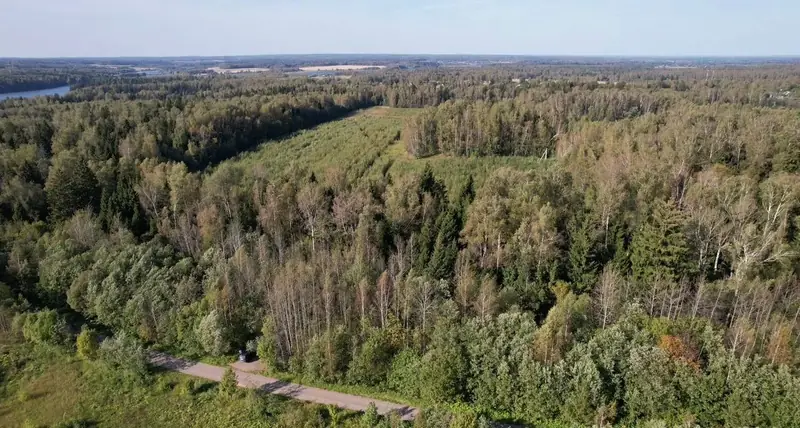 Участок 9,6 га (СНТ, ДНП), Рузский район, Московская область — фото 4