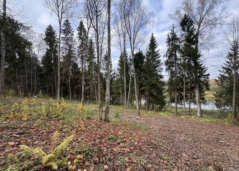 Участок 6,17 га (ИЖС), Рузский городской округ, Московская область — фото 12