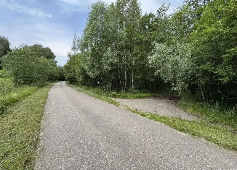 Участок 9,6 га (СНТ, ДНП), Рузский район, Московская область — фото 2