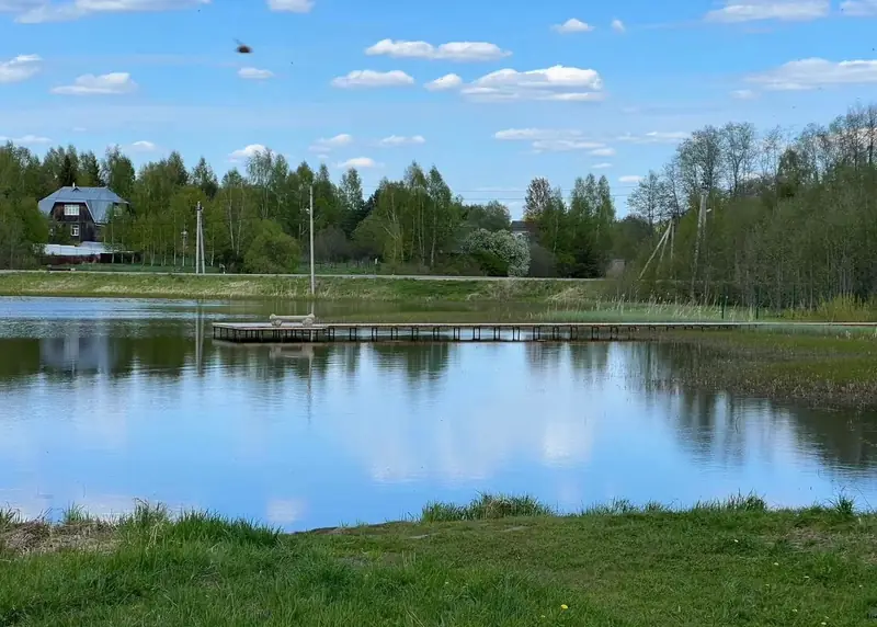 Участок 9,4 га (СНТ, ДНП), Рузский район, расположенного в границах участка. Ориентир д. Новая. Почтовый адрес ориентира: Московская область — фото 4