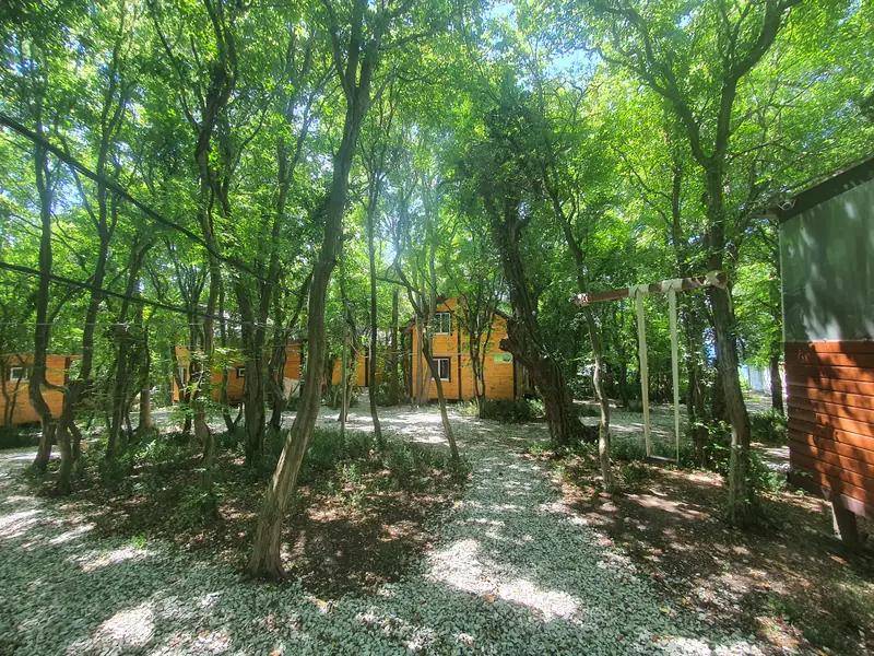 Участок 1.5 га в кринице., Краснодарский край — фото 3