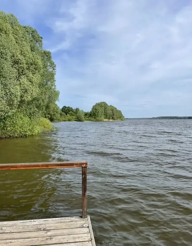 Участок 6 га Можайское водохранилище, Московская область — фото 4