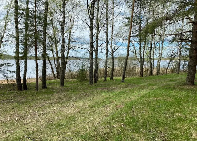 Участок 9,6 га (СНТ, ДНП), Рузский район, Московская область — фото 13