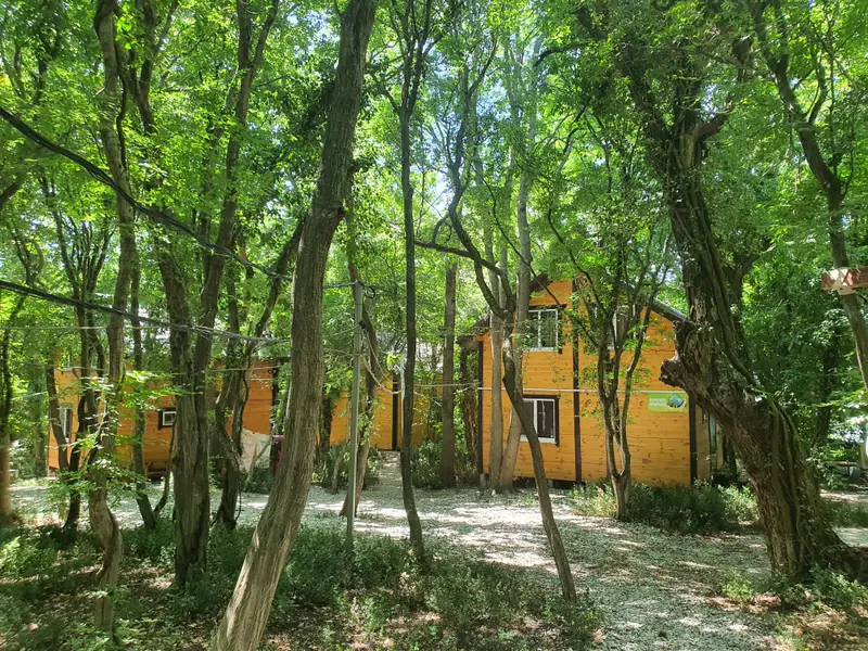 Участок 1.5 га в кринице., Краснодарский край — фото 2