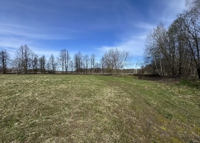 Участок 1,52 га (ИЖС), Рузский р-н, Московская область — фото 9