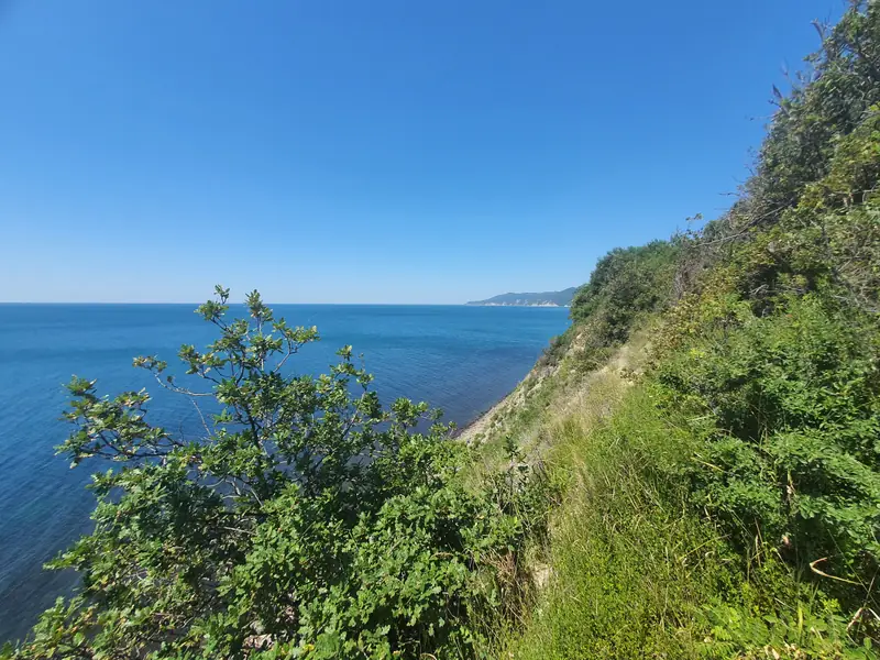 Участок 1.5 га в кринице., Краснодарский край — фото 10