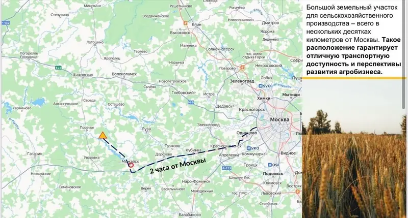 Участок 68,31 га, Можайский район, Московская область — фото 8