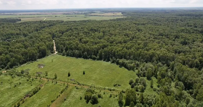 Участок 4,1 га (СНТ, ДНП), Рузский р-н, Московская область — фото 7