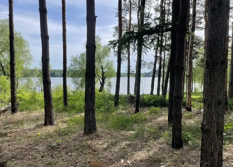 Участок 6 га Можайское водохранилище, Московская область — фото 18