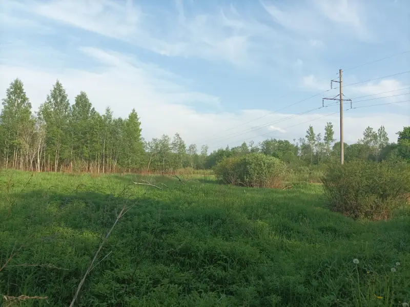 Участок 12,2 га агротуризм первая линия, юго-западнее д. Климово, м.о. Новоржевский, Псковская область — фото 2
