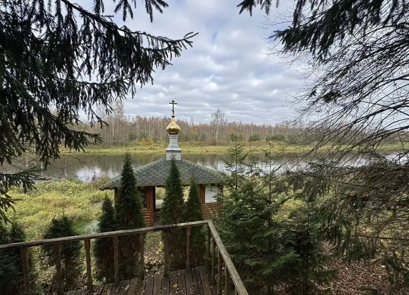 Участок 6,17 га (ИЖС), Рузский городской округ, Московская область — фото 6