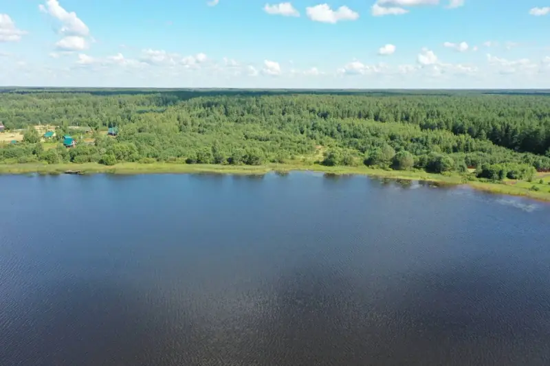 Участок 242 сотки у воды, Калязинский р-н, Тверская область — фото 11