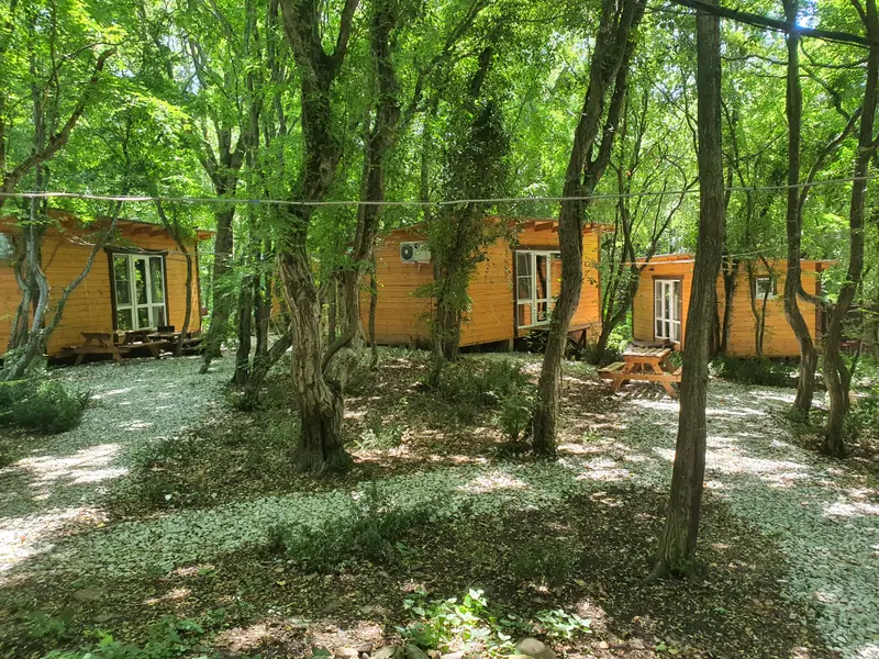 Участок 1.5 га в кринице., Краснодарский край — фото 5