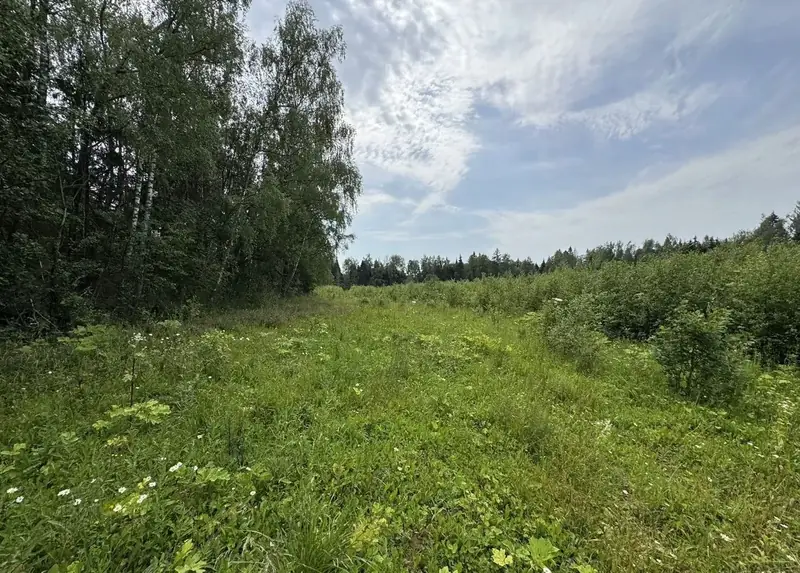Участок 9,6 га (СНТ, ДНП), Рузский район, Московская область — фото 15