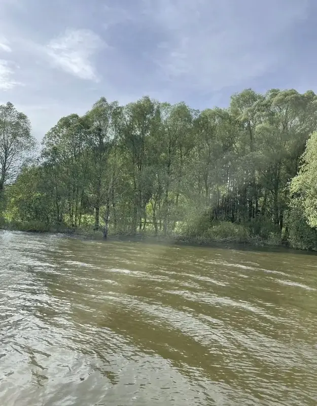Участок 6 га Можайское водохранилище, Московская область — фото 16
