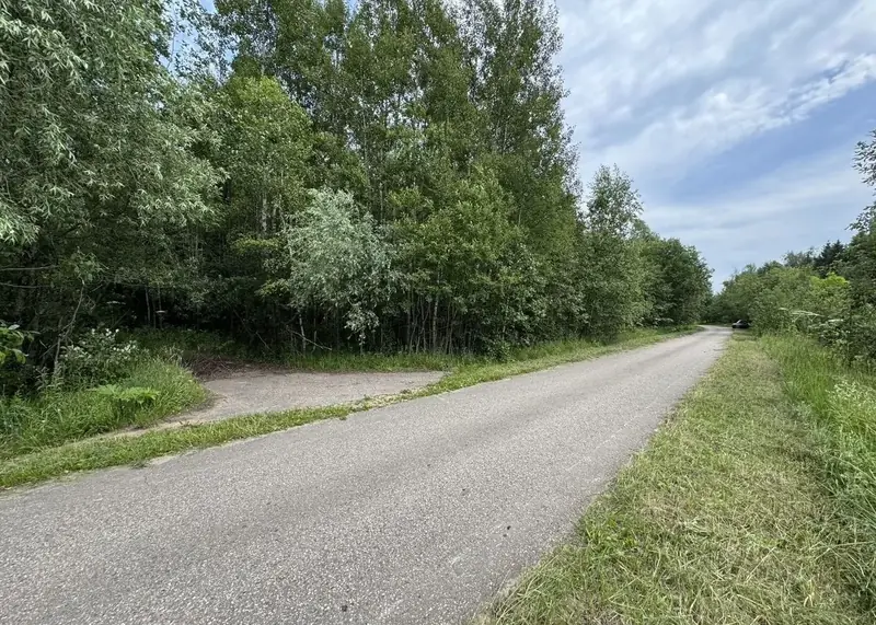 Участок 9,6 га (СНТ, ДНП), Рузский район, Московская область — фото 3