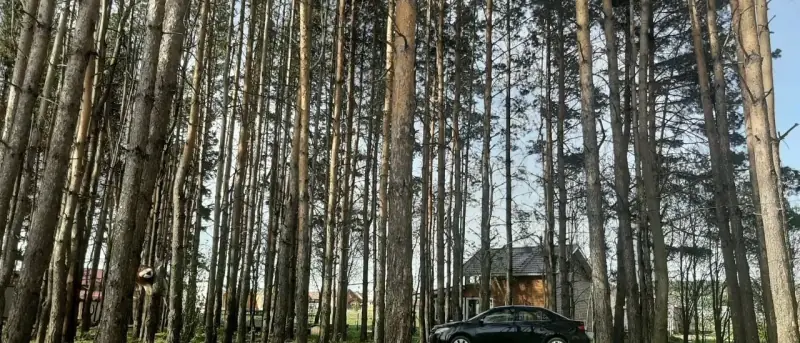 Участок 21 сот. под базу отдыха у воды, Долгое поле (урочище), Пермский край — фото 9