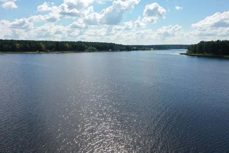 Участок 242 сотки у воды, Калязинский р-н, Тверская область — фото 10