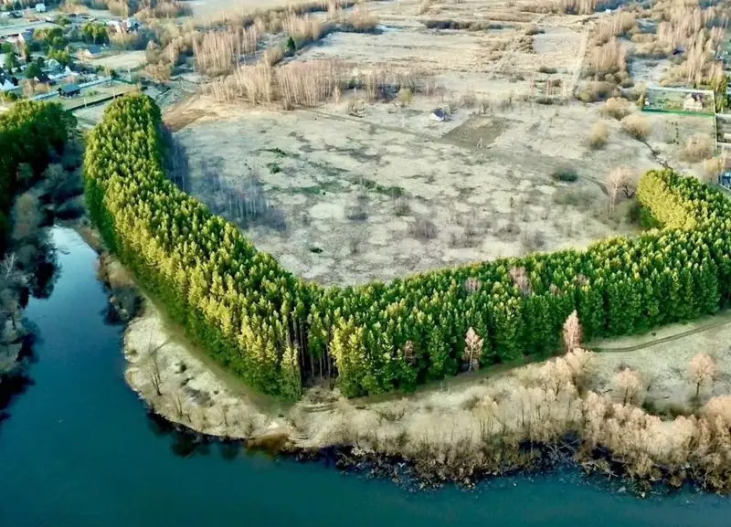Участок 6 га Можайское водохранилище, Московская область — фото 15