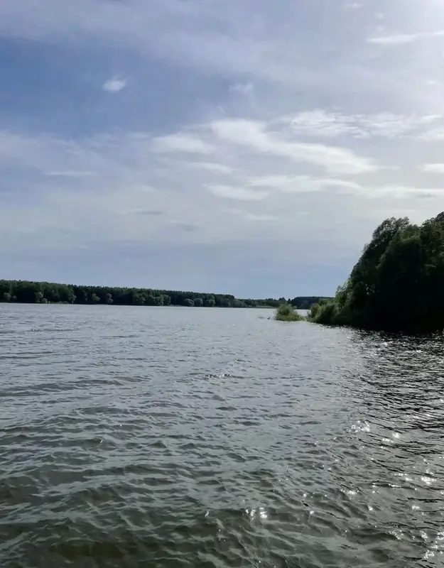 Участок 6 га Можайское водохранилище, Московская область — фото 10