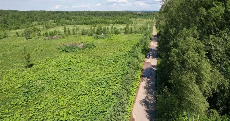Участок 4,1 га (СНТ, ДНП), Рузский р-н, Московская область — фото 2