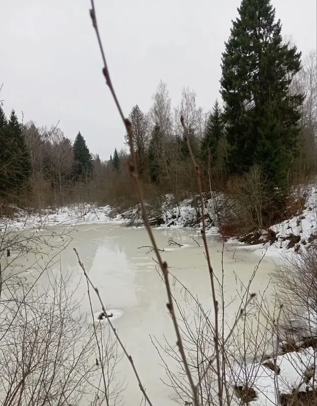 Участок 3,05 га, Волоколамский городской округ, Московская область — фото 17