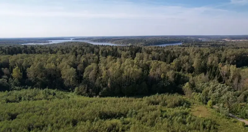 Участок 9,6 га (СНТ, ДНП), Рузский район, Московская область — фото 7