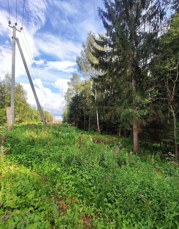 Участок 3,05 га, Волоколамский городской округ, Московская область — фото 6