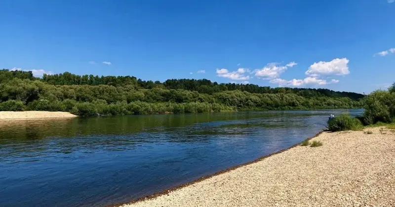 Участок 4 га ижс, Велегож, Заокский район, Тульская область — фото 5