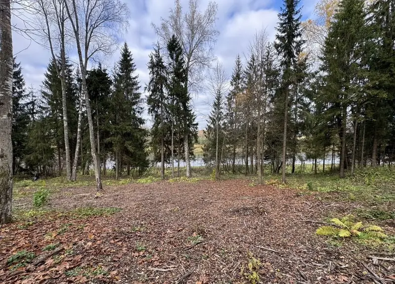 Участок 6,17 га (ИЖС), Рузский городской округ, Московская область — фото 5