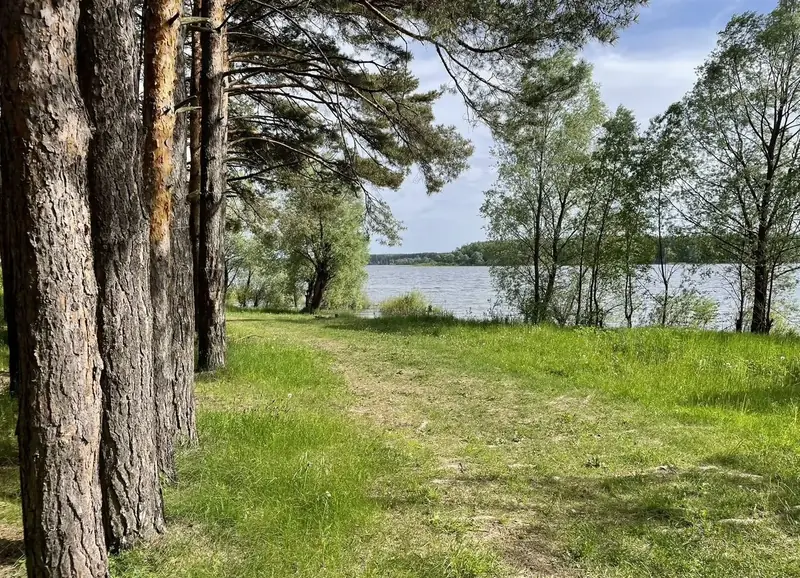 Участок 6 га Можайское водохранилище, Московская область — фото 12