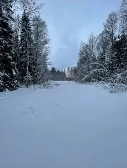 Участок 8,9 га (ИЖС), Сергиево-Посадский, Московская область — фото 1