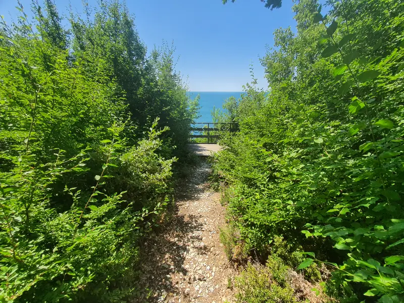 Участок 1.5 га в кринице., Краснодарский край — фото 7