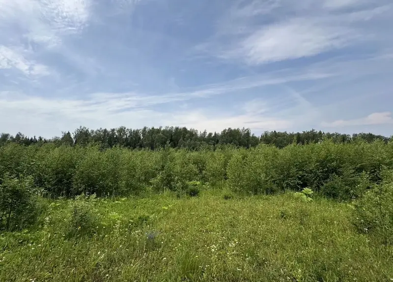 Участок 9,6 га (СНТ, ДНП), Рузский район, Московская область — фото 8