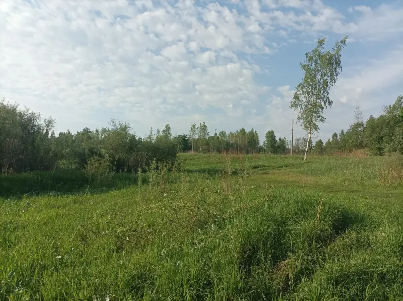 Участок 12,2 га агротуризм первая линия, юго-западнее д. Климово, м.о. Новоржевский, Псковская область — фото 9