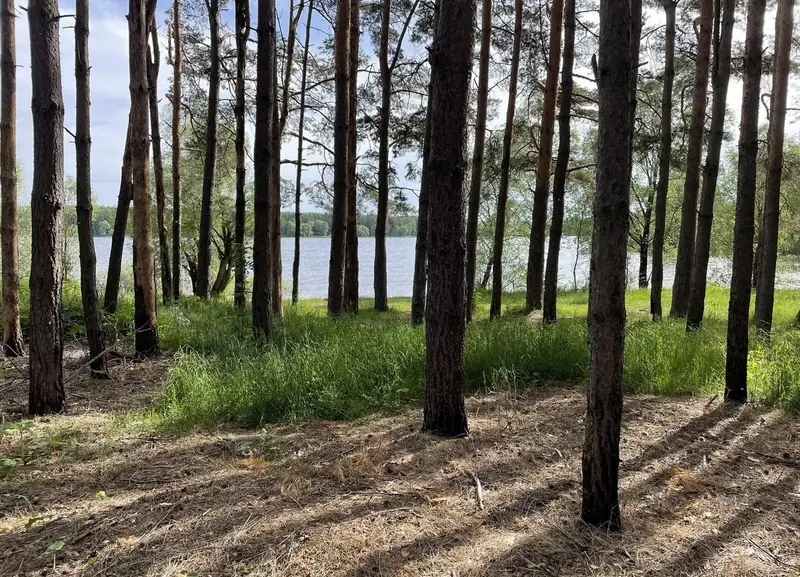 Участок 6 га Можайское водохранилище, Московская область — фото 8