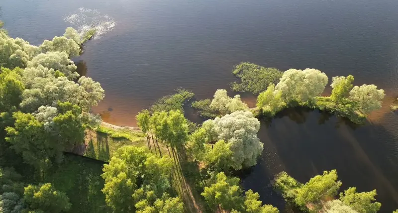Участок 2 га (ИЖС), Рузский район, Московская область — фото 15