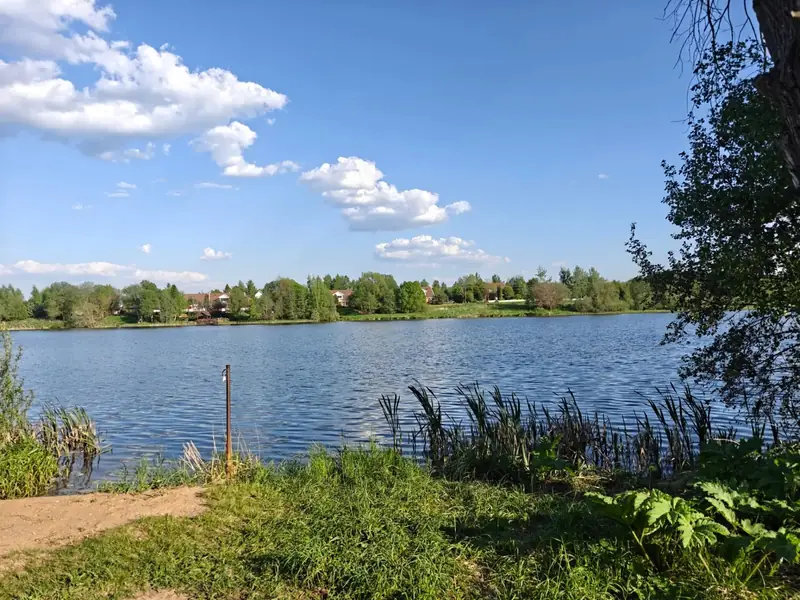 Участок 3,95 га у воды, Московская область — фото 9