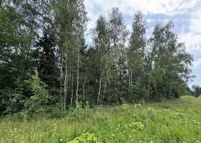 Участок 9,6 га (СНТ, ДНП), Рузский район, Московская область — фото 12
