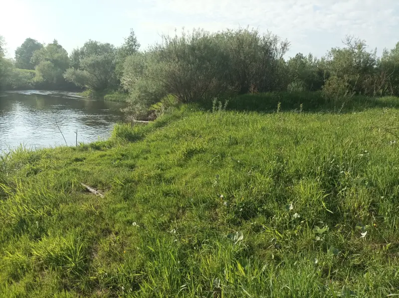 Участок 12,2 га агротуризм первая линия, юго-западнее д. Климово, м.о. Новоржевский, Псковская область — фото 8
