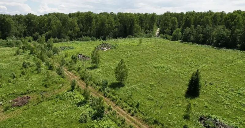 Участок 4,1 га (СНТ, ДНП), Рузский р-н, Московская область — фото 11