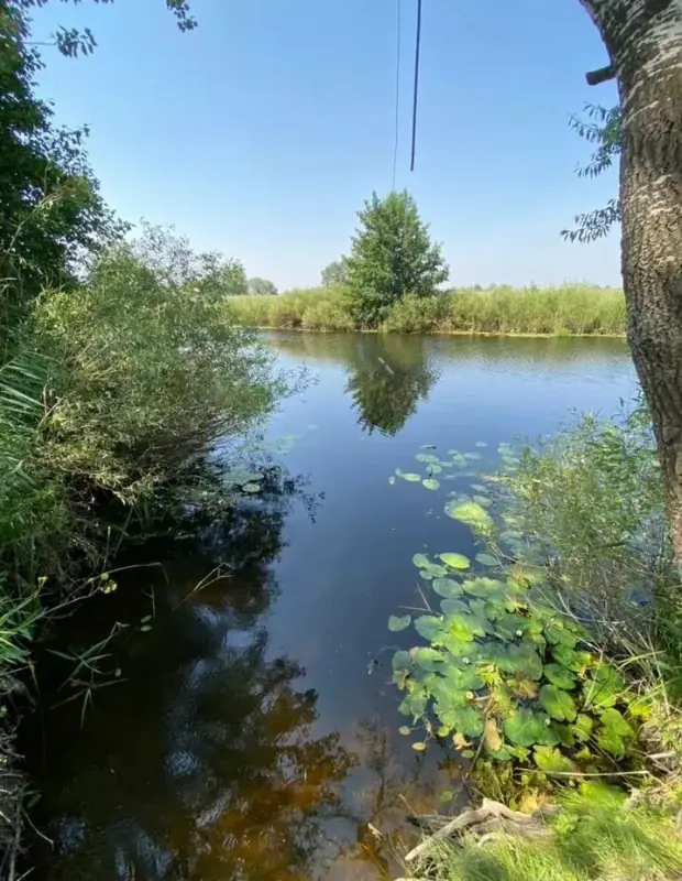 Участок 22,6 га под туризм, Соль-Илецкий район, Оренбургская область — фото 4