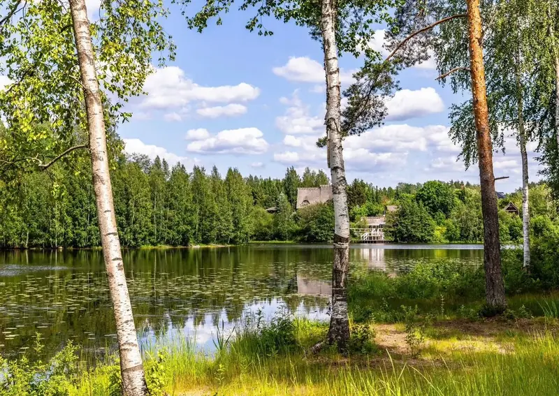 Продажа готового бизнеса - гостиница, Всеволожский район, Ленинградская область — фото 3